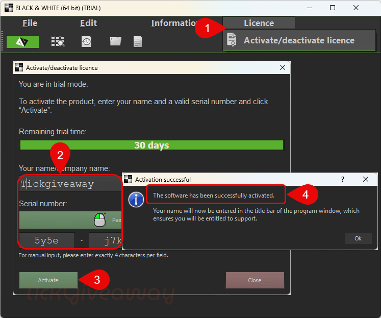 activate black white projects code