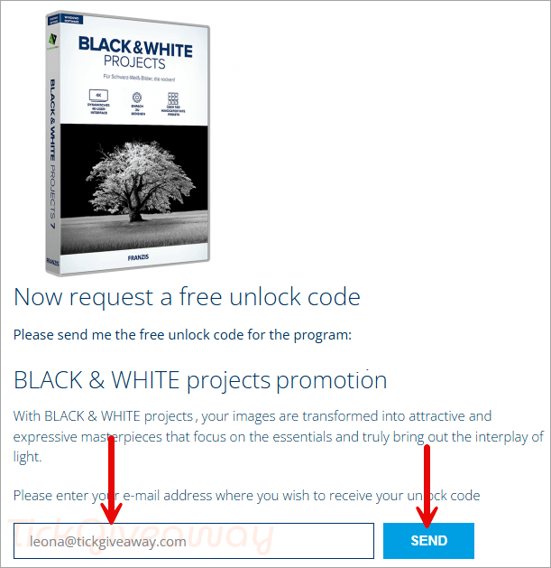 black white projects promotion