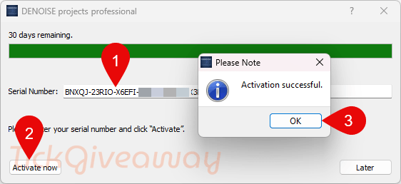 activate denoise projects professional code