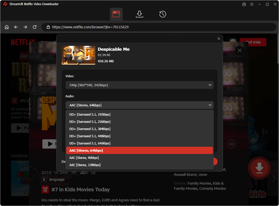 audio streamult netflix video downloader audio streamult netflix video downloader