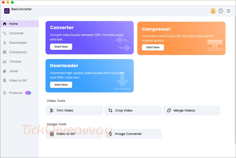 BeeConverter Pro
