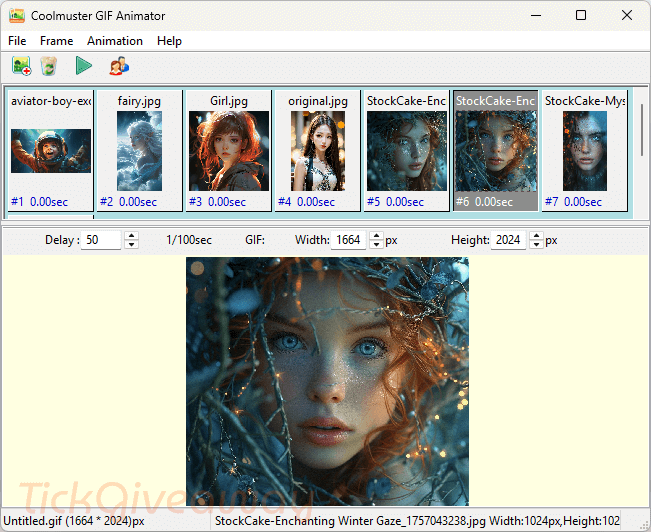 Coolmuster GIF Animator i