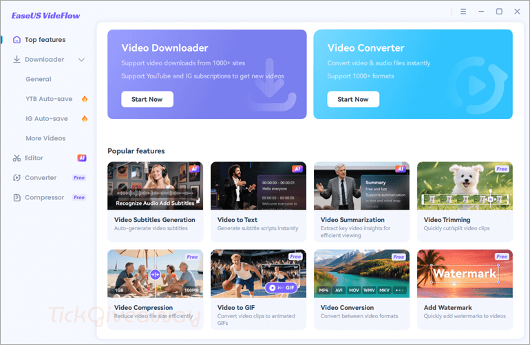 EaseUS Videflow