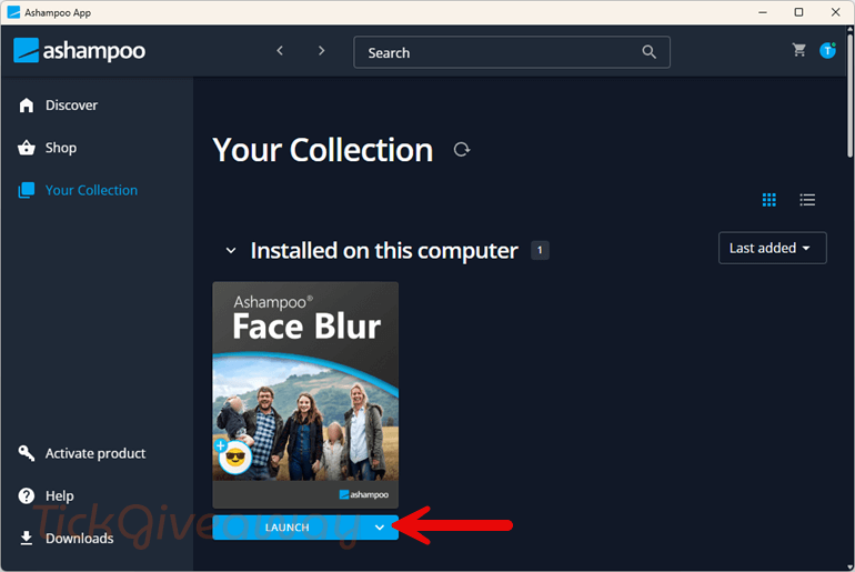 install ashampoo face blur free