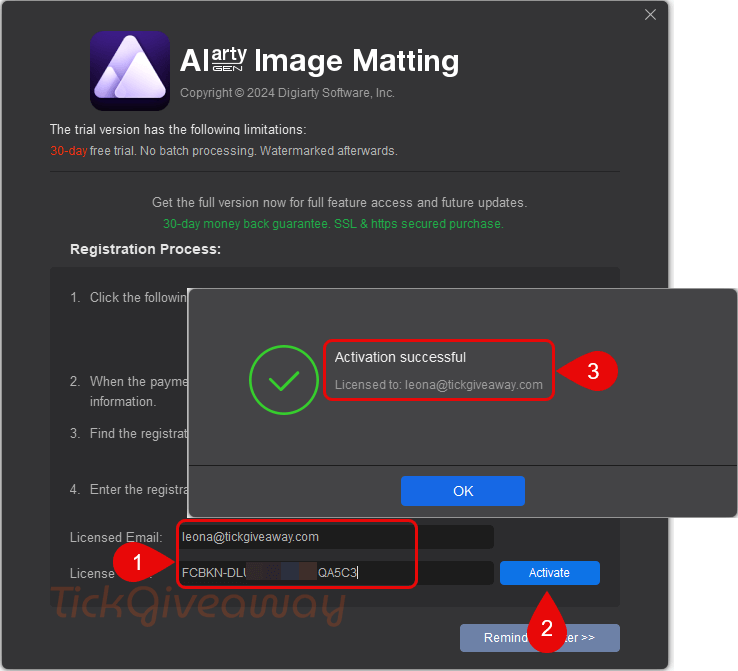 activate aiarty image matting key