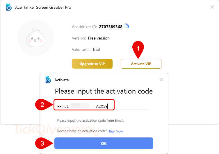 activate acethinker screen grabber pro code