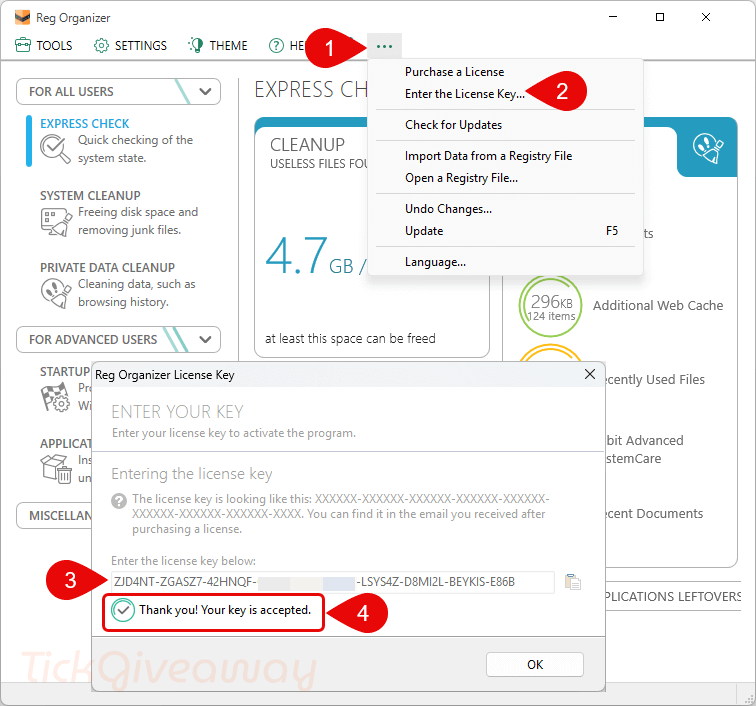 activate reg organizer pro key