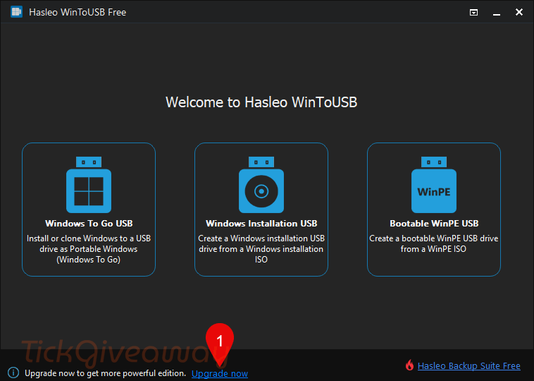 upgrade wintousb professional