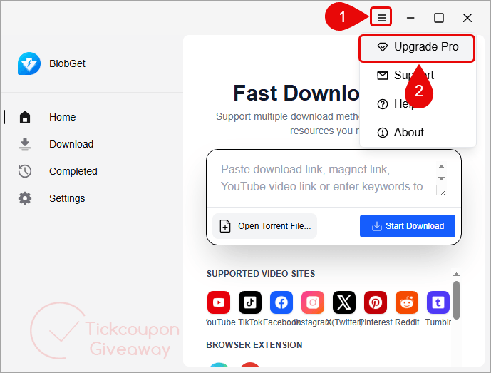 upgrade blobget download manager pro upgrade blobget download manager pro