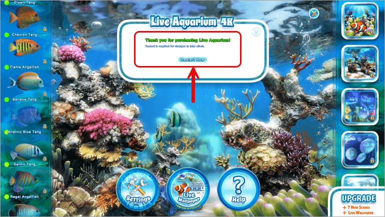 get live aquarium 4k free