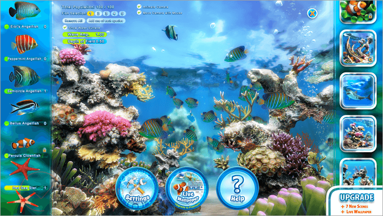 Live Aquarium 4K