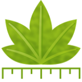Digimizer Giveaway