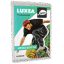 ACDSee LUXEA Pro Video Editor Giveaway License Key Free