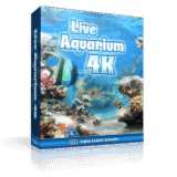 Giveaway: Live Aquarium 4K – Perfect Digital Aquarium Experience